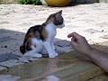 Caramel 08-04 032